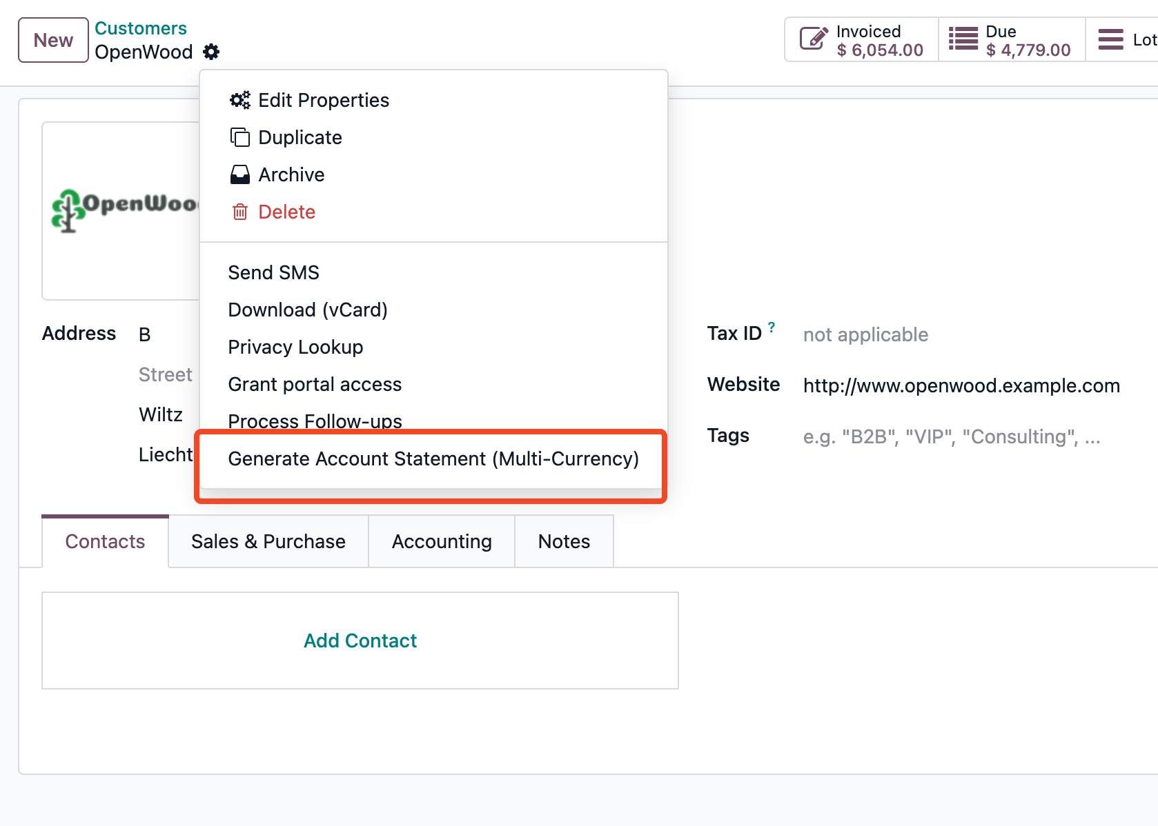 Generate Statement (Multi-Currency) action button on partner form