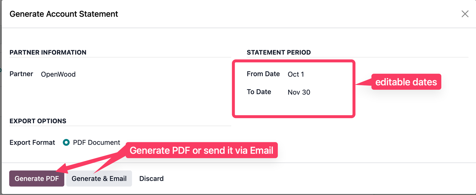 Statement generation wizard with date range selection and action buttons